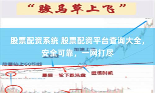 股票配资系统 股票配资平台查询大全，安全可靠，一网打尽