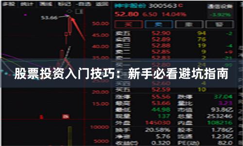 股票投资入门技巧：新手必看避坑指南
